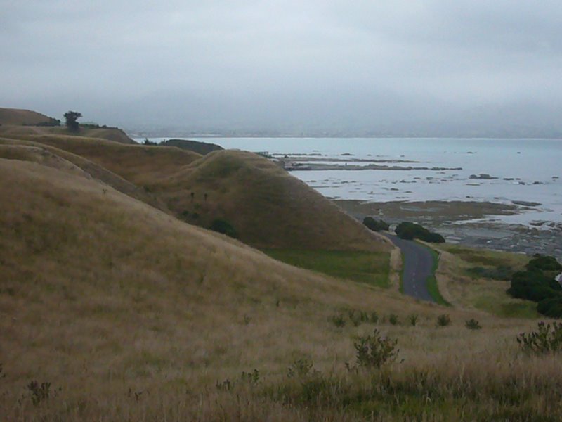 Travel - New Zealand - Kaikoura Again